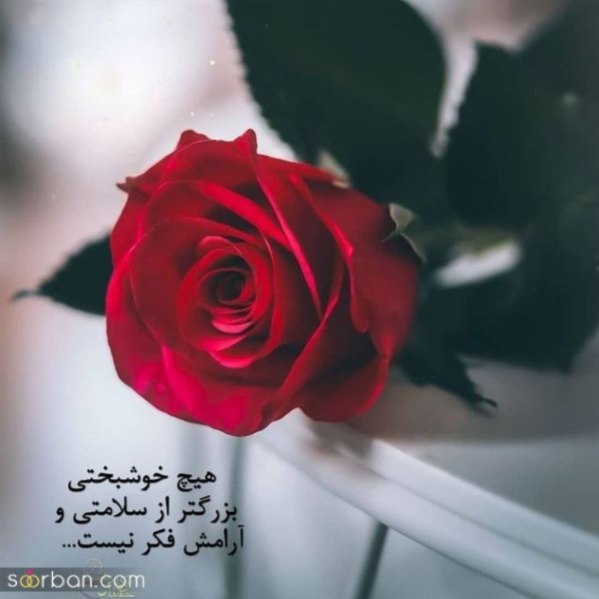 دانلود آهنگ تمام سال من بی تو محسن چاوشی و سیاوش قمیشی از فارس ترانه
